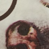 静静带你看世界