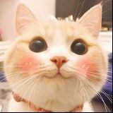 娱乐做主
