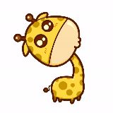 梦里不知你是谁