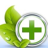 每日健康养生资讯