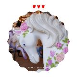 阳光彩虹小白马