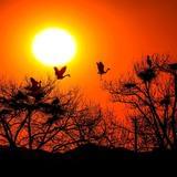 摄影技巧入门教程