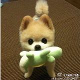 有个鬼放了个屁就死了