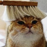 芝士球和好心情