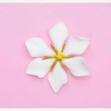 火爆餐饮商学院