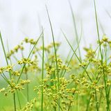 窦建章娱乐大咖