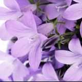 尤和志娱乐大咖