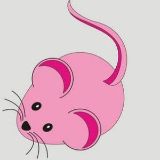 八卦星座不求人