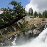 欧阳强娱乐助手