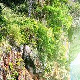 斑马的娱乐体系