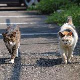 义义聊娱乐事儿