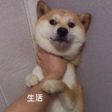 王七