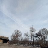 一意孤行的付出