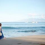 全民智哥的小迷妹