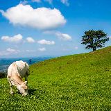 风清气正云飞扬