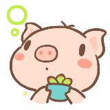 追剧的小浪老师