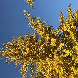 生活达人一起聊