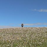 东亚历史地理乱弹