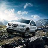 冬瓜界颜值最高