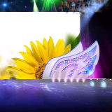 吉林小太阳广场舞