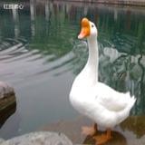 爱美时尚爱娱乐