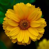 我要带你去天涯海角