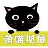 萌喵视角