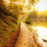 旅游的驴友丫丫