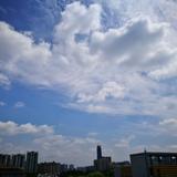 自游