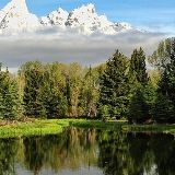 王涵情感小分队