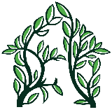 青叶藤教练中心