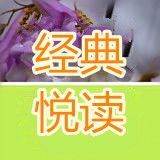 树下品茗