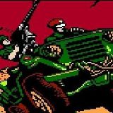 改过自新的风息狐猫