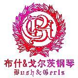 布什戈尔茨钢琴