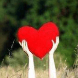 假装自己是棵树