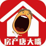房产唐大嘴