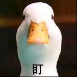 大米的生活故事