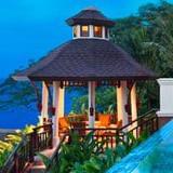 一只爱行摄的青蛙