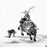 小橘子的旅行人生