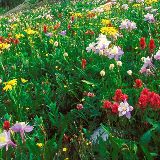 汤懂孰回味历史