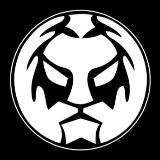 魔力风暴MORSTORM