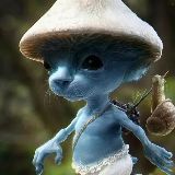 神秘的游戏玩家