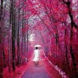 丑女有敌