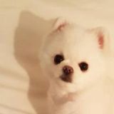 放飞自我去旅行