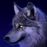 《投资中国》栏目