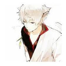 爱健身的戴教练