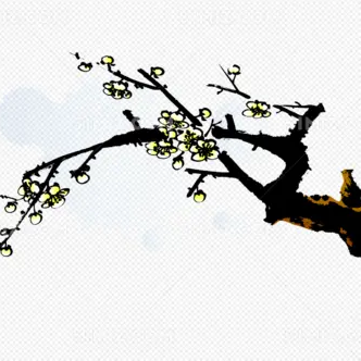 智慧小师姐