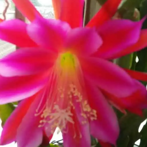 点子生活小妙招