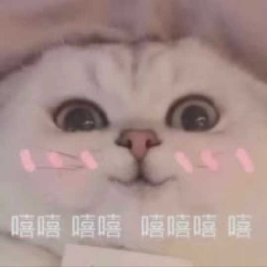 是六六