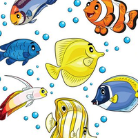 花花不语映剪辑